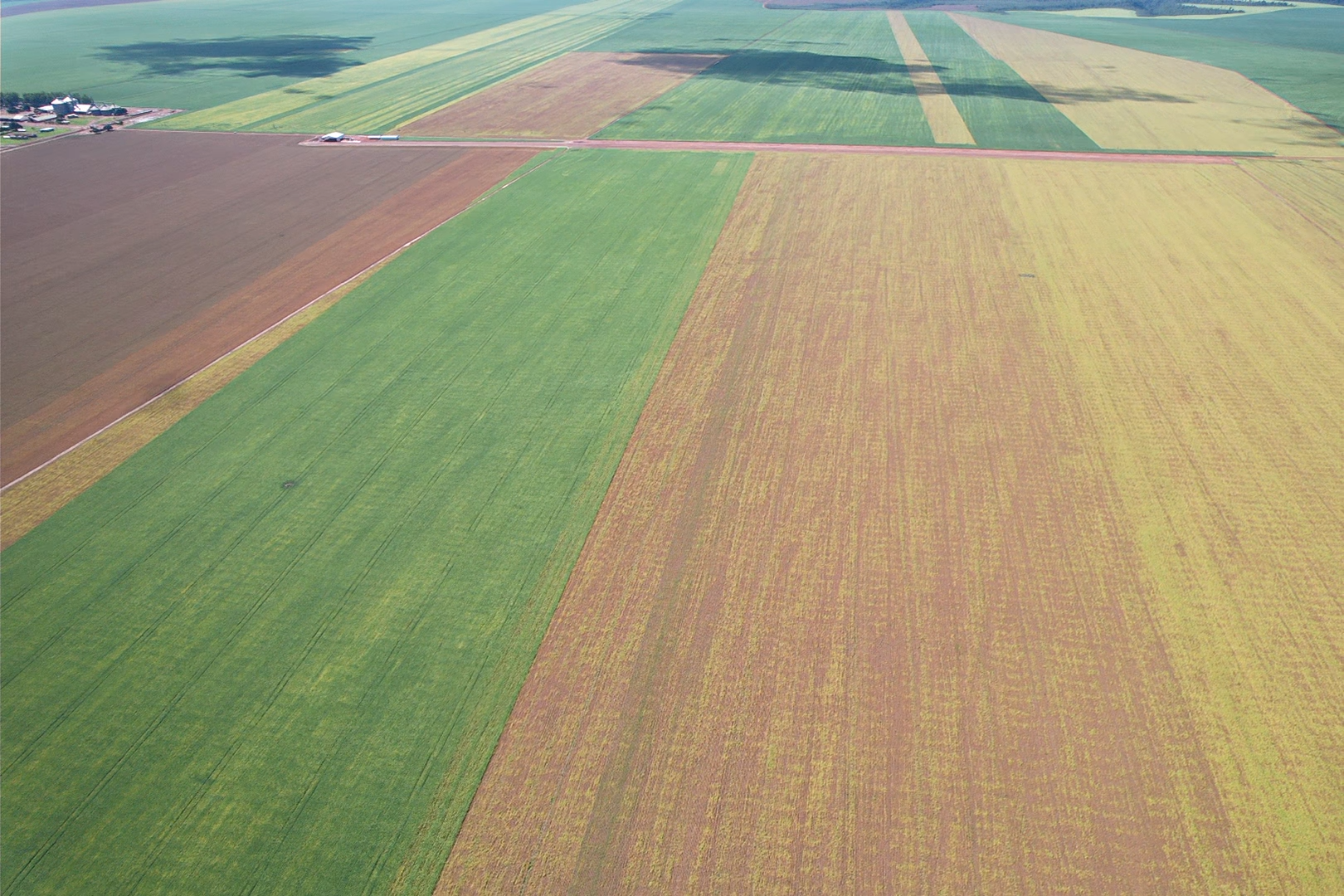Aerial view of AgroDrone Solutions drone spraying operations