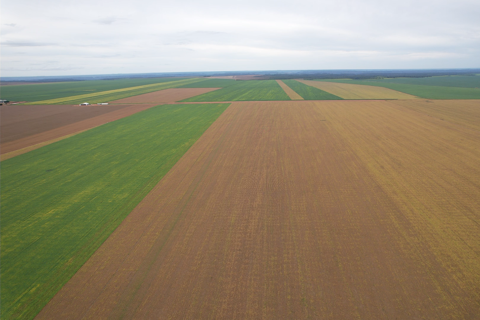 Aerial view of AgroDrone Solutions drone spraying operations